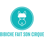 Bibiche fait son cirque
