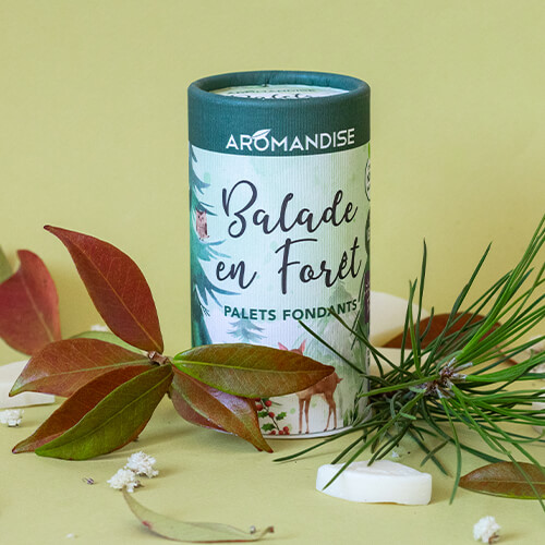 Palets fondants Balade en Forêt