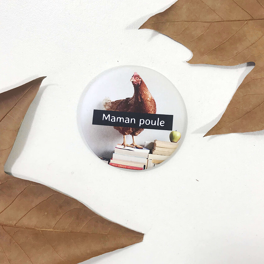Aimant Frigo Poule Multicolore - Résine, Marque Générique - Neuf Dans Son Emballage
